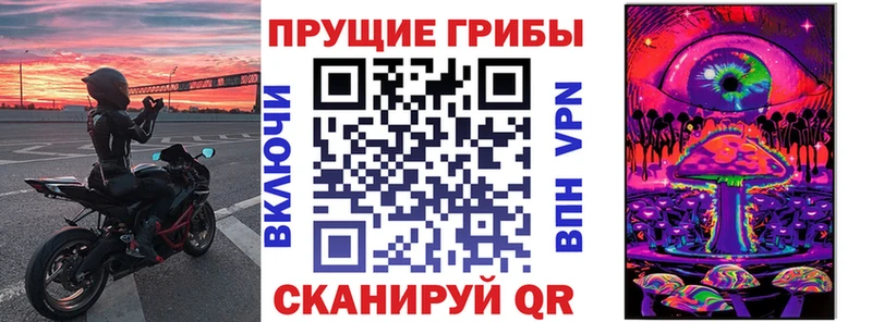 Галлюциногенные грибы Psilocybe  как найти наркотики  Павловская 